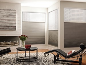 Indoor Dual Cellular Shades