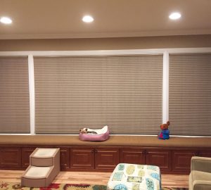 Cellular Shades in Family Room